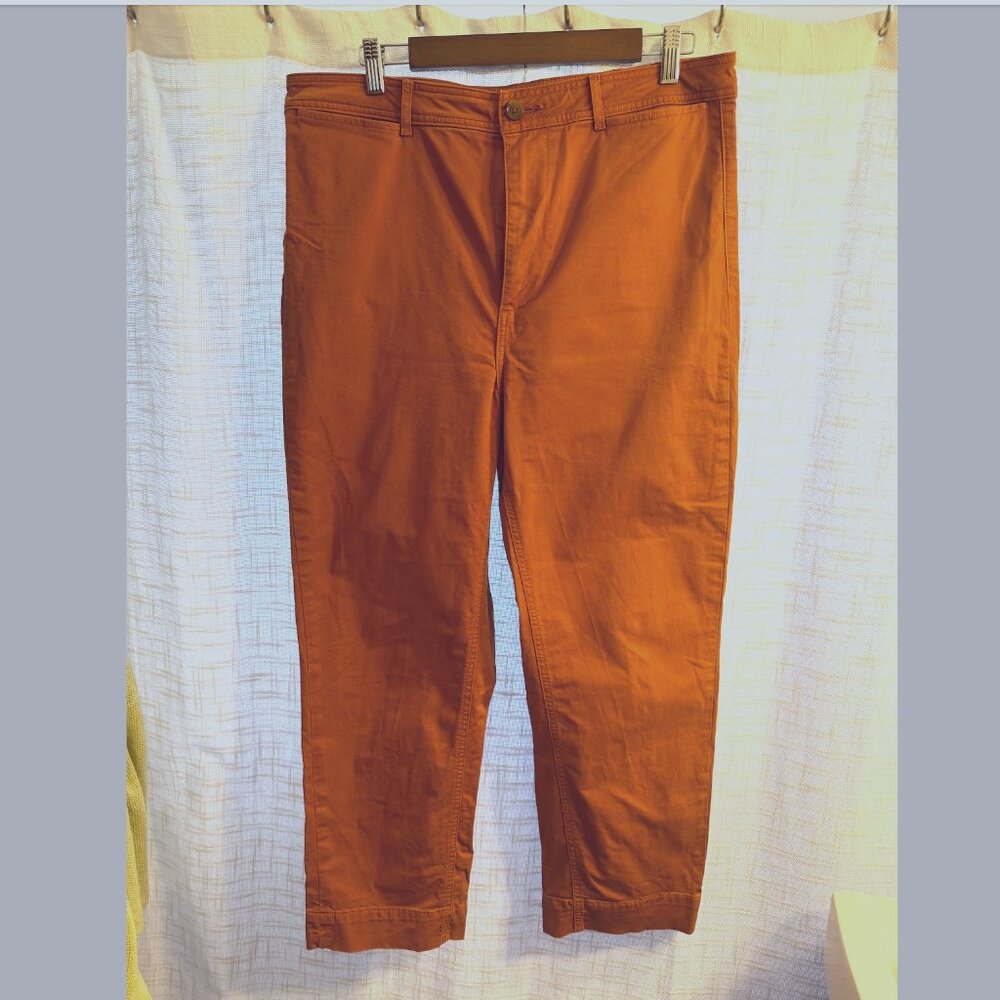 Everlane Rust Orange Straight-Leg Trousers